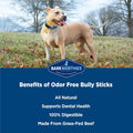Barkworthies Odor-Free 6 Inch Bully Sticks - 5 Count (Pack of 1) - Protein-Packed, Easily Digestible, All-Natural Rawhide Alternative, Promotes Dental Health