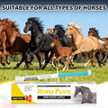 12 Pack Equine Paste 1.87% – (6.08g Each) Apple Flavored Oral for Horse