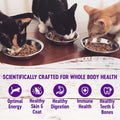 Wellness Healthy Indulgence Morsels Adult Wet Cat Food, Natural, Protein Rich, Grain Free, Salmon and Tuna Recipe, 3 oz, Pack of 24 Pouches