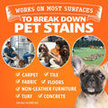 ANGRY ORANGE 1 Gallon Enzyme Cleaner and Deodorizer, Pet Stain and Odor Remover for Dog & Cat Urine and Stains - Citrus,