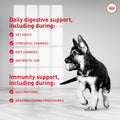Royal Canin Probiotics for Dogs Digestive and Immune Health Powder Supplement for Dogs of All Ages, 30 Count