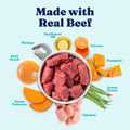 Solid Gold Wet Dog Food Topper, Beef Meal & Topper, Picky Eaters, 6ct