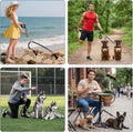 iRipets Double Dog Leash No Tangle – 360° Swivel Dual Lead for Two Dogs with Shock Absorbing Bungee & Reflective Stitching | Small Medium Breeds (10–60 lbs, Black)