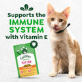Greenies Feline Smartbites Kitten Treats, Chicken Flavor, 2.1 oz. Pouch