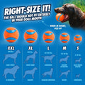 Chuckit! Ultra Ball Dog Fetch Toy, Large 3in, for 60-100lbs Dogs, Floats