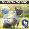 Spark Paws Sunblock Dog T-Shirt, SPF30 Protection, Lightweight Breathable Quick Dry for Dogs with Sensitive Skin - Blue & Grey (Set of 2) - 3XL