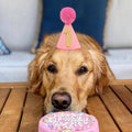Pet Birthday Hat with Interchangeable Numbers 1-10 | Adjustable Pet Party Cone Hat for Dogs & Cats | Puppy Birthday Phot