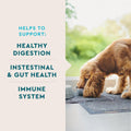 VetIQ Probiotic Supplement for Dogs, Gut & Bowel Support, 90ct