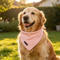 ARING PET Summer Dog Bandana-Cute Pink Dog Bandanas, Comfortable Pet Scarf Dogs Triangle Bibs for Small to Large Girl Do