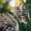 Marvel Comics Breakaway Cat Collar