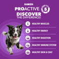 IAMS Advanced Health Healthy Digestion Dry Dog Food, Chicken, 4.5 lb