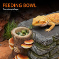3 in 1 Bearded Dragon Basking Platform, Reptile Habitat Cave Hideout with Food Bowl, Aquarium & Terrarium Decor Accessor