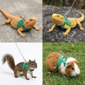 3 Pack Bearded Dragon Leash and Harness Set 3 Size Adjustable Lizard Harness Bearded Dragon Outfits for Reptile Small An