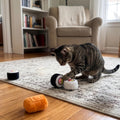 SPOT Sushi Roll Take-Out Cat Toys, Catnip and Crinkle Filled Soft Plush Toys for Indoor Cats, for Single or Multi-Cat Ho