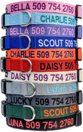 GoTags Personalized Dog Collar, Custom Embroidered Pet ID Dog Collar with Pet Name and Phone Number, Adjustable with Qui