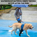 COODEO Dog Socks to Prevent Licking Paws, Healing Boots & Paw Protectors with Non-Slip Bottoms for Wound Protection, Wat
