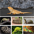 120 Gallon Reptile Terrarium Liner, Bearded Dragon Mat for 4x2x2 Enclosure