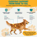1-TDC Dual Action Joint & Gum Support Soft Gels for Dogs & Cats - 120 ct