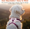 3 in 1 No Pull Dog Harness Leash and Collar Set, Soft and Cute Adjustable Dogs Vest Reflective and Comfortable Handle Pink