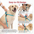 Harness Lead Escape Resistant, Reduces Pull Dog Harness, Medium/Large, Black