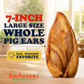 FETCHERONI Whole Pig Ears for Dog Chews, Long Lasting Dog Treat, L, 100 PCS