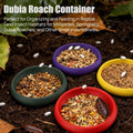 12-Pack Small Feeding Dish for Reptiles, Colorful Feeder Bowls for Isopods, Springtails, Dubia Roaches & Dwarf Invertebr