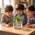 Desktop Betta Fish Bowl Glass with Wood Lid and Bamboo Stand Small Fish Bowl Hydroponic Plant Terrarium Aquarium Starter