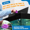 Clarence the Clarifier Fish - 1 pk, Purple - Aquarium Treatment, Clear Cloudy Fresh-Saltwater, Fish-Plant Safe, 10gal Ta