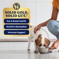 Solid Gold Wet Dog Food Topper, Beef Meal & Topper, Picky Eaters, 6ct