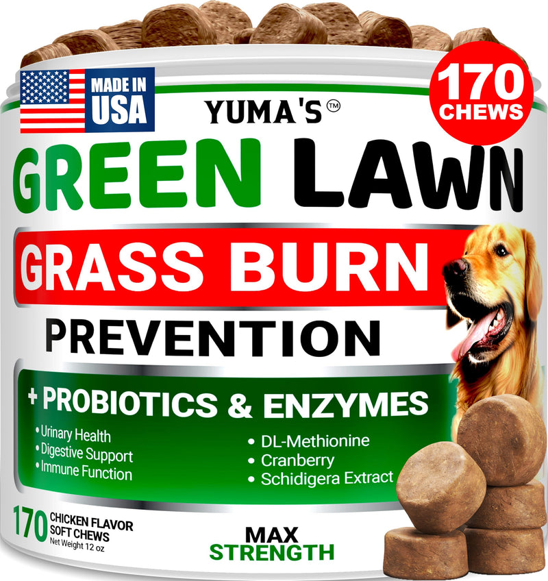 YUMA'S Dog Urine Neutralizer for Lawn - 170 Chews - Advanced Grass Green Savers for Dog Urine - Canine Pee Grass Neutralizer Supplement - Green Lawn Treats with Probiotics and Digestive Enzymes