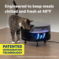 PetSafe FreshFeed Refrigerated Pet Feeder Automatic Wet Food Feeder for Cats & Small Dogs App Control 6 Fresh Meals Stainless Steel Inserts Black