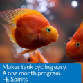 API AQUARIUM START UP PACK Water Conditioner 1.25-Ounce Bottle 2-Pack