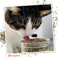 Meowijuana Catnibas Catnip Pawty Mix Jar | Premium Cat Nip for Cats with Silvervine, Passion Flower, Chamomile, Dandelion & Valerian Root | High Potency Catnip | 60g