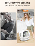 Meowant Automatic Self Cleaning Cat Litter Box with APP Control, Odor Free, Cat-Safe Anti-Stuck Technology, Larger Space