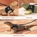 3 Pack Bearded Dragon Harness and Leash Set - Adjustable Escape-Proof
