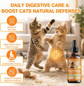 Cat Vomit Remedy, Targeted Treatment for Stomach Upset, Vomiting & Nausea