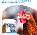Equa Holistics HealthyGut Probiotics for Chickens & Poultry, All-Natural Digestive System Dietary Supplement (30 Scoops)