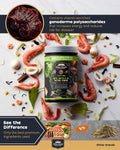 Ultra Fresh - Turtle Nutri Stick, Wild Sword Prawn, Calcium & Vitamin D Enriched Aquatic Turtle Food with Probiotics for