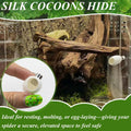 Jumping Spider Habitat Accessories Enclosure Habitat Accessories Jumping Spider Web Climbing and Feeding Platforms with 