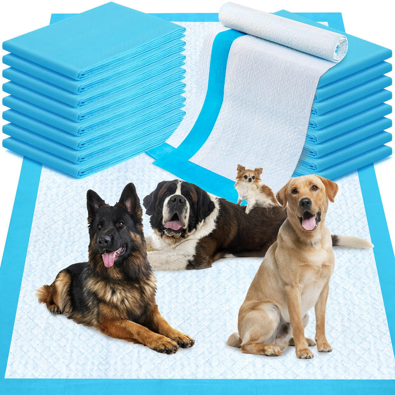 Pee Pads for Dogs 36