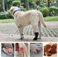 ETIAL Dog Paw Wound Recovery Boot, Breathable Dog Bootie for Injured Paw, Anti-Slip Dog Shoe with Self-Adhesive Strap, D