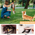 Qiiiiian Squeaky Dog Toys, Stuffed Large Dog Toys to Keep Them Busy, Interactive Plush Chew Toys with Crinkle Paper, Tough Pet Animal Toys for Small Medium Large Dogs - Platypus