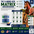 Pivotal Feeds Equine Total Recovery Supplement, 30 Servings