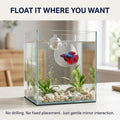 1 Set Clear Betta Training Mirror Fish for Tank Fish Antidepressant Work Out Special for Betta Fitness Mirror Aquarium D