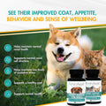 AminAvast 300mg Kidney Support for Cats & Small Dogs, 60 Sprinkle Capsules