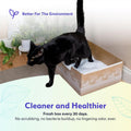 Kitty Poo Club Disposable Cat Litter Box 2-Pack, Patented Leak-Proof Design, 2-Months Odor Control, Made in USA, Perfect for Travel & Multi-Cat Homes