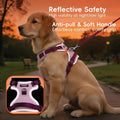 3 in 1 No Pull Dog Harness Leash and Collar Set, Soft and Cute Adjustable Dogs Vest Reflective and Comfortable Handle Pink