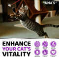 Cat Multivitamin Chews - Cat Vitamins and Supplements - Taurine & Lysine for Cats - Omega-3, Glucosamine, Cranberry - Skin & Coat, Hip & Joint Support - Immune Health, Skin, Heart, Digestion