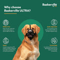 Baskerville ULTRA Dog Muzzle | Size