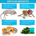 Gargeer 3oz All Reptiles Minerals Supplement. Muscle Support, Made in USA